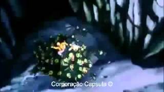 Dragon Ball Z Brolyo Lendário Super Sayajin Dublado BR [upl. by Attiuqaj]