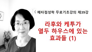 메타 베딕 점성학 기초강의 제39강 라후와 케투가 열두 하우스에 있는 효과들 1 [upl. by Shepperd]