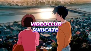 VIDEOCLUB Suricate  Letra en Español Paroles [upl. by Meriel]