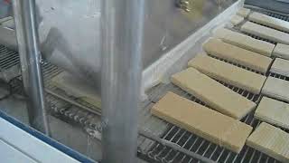 small chocolate enrober machine for wafer biscuit manufacturers [upl. by Benia]