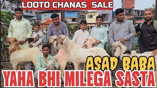 Yaha Bhi Milega Sasta Dhamaka Offer Chanas Looto Aur Shouk Karo  Asad Baba Dharavi Sion Mumbai [upl. by Deutsch]