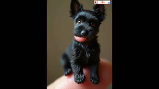 When a Tiny Puppy Meets the Rain for the First Time ai birds [upl. by Kelbee]