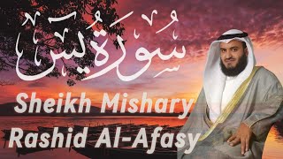 Surah Yasin سورة يس  Recited by Sheikh Mishary Rashid AlAfasy  Beautiful Quran recitation [upl. by Aivekal]