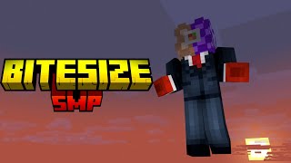 My Application To The Bitesize SMP [upl. by Esilegna484]