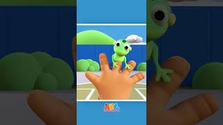 Chameleon Finger Family shorts nurseryrhymes kidssongs allbabieschannel abcphonicssong [upl. by Dlanod474]