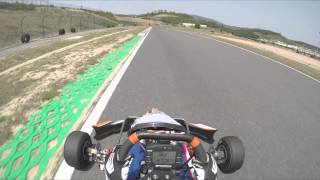 RMCGF 2015 Track test Rotax 125 Junior MAX evo [upl. by Adihsar615]