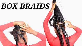 Jumbo Box Braids Tutorial Rubber Bands Method Explained [upl. by Nnylodnewg]