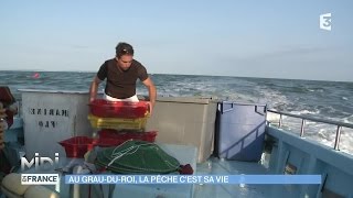 SUIVEZ LE GUIDE  Au GrauduRoi la pêche cest sa vie [upl. by Pascoe762]