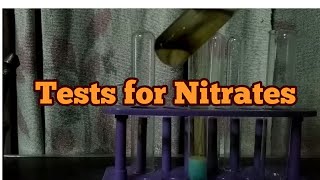 Test for Nitrate ions [upl. by Yert]