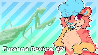 Fursona Review 2 Insects [upl. by Synn]