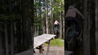 Road Gap mtb downhill nice [upl. by Vookles]