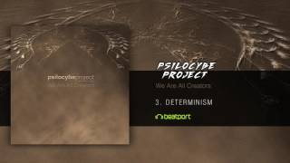 Psilocybe Project  Determinism [upl. by Catt266]