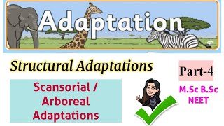 Structural adaptations Scansorial or Arboreal adaptations part4types of adaptationsMSc BSc [upl. by Rachele139]