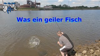 Hiermit ist der Erfolg garantiert Was ein Fisch Spinnfischen mit Seitenarm [upl. by Eila]