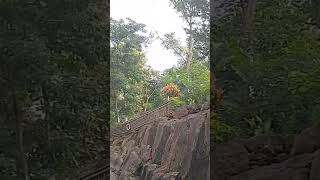 Nizora park waterfall in Morigaon  Assam India [upl. by Chilson303]