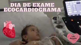 ECOCARDIOGRAMA  EXAME DE ROTINA [upl. by Onid21]