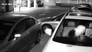 Surveillance Video Stolen Cello [upl. by Vano819]