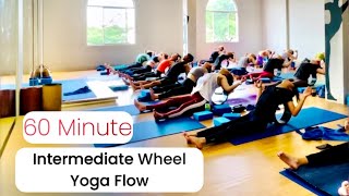 Intermediate Yoga Flow amp Backbend Therapy  wheel yoga for deep backbend  60 minutes flow [upl. by Vassili857]