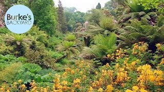 Burkes Backyard The Lost Gardens Of Heligan England [upl. by Porush]