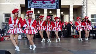 Tanzgarde Halle Rosenmontag 2019 [upl. by Ehttam]