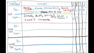 Osmolarity and hydration table Water metabolism by Coiled in ENGLISH [upl. by Wilburn868]