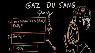 Gaz du sang  Quiz  Partie 3  12  Docteur Synapse [upl. by Annah457]