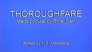 thoroughfare by ethel cain karaoke version [upl. by Nairoc]