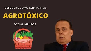 Eliminar Agrotóxico dos Alimentos Dr Lair Ribeiro [upl. by Olwena233]