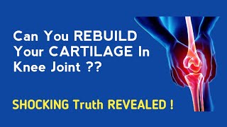 What Is Damaged Cartilage In Knee Joint That Causes Arthritis [upl. by Delia]