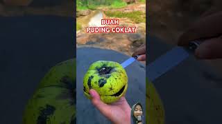 Black sapote yg terlalu matang tdk layak konsumsi shorts [upl. by Fillbert]