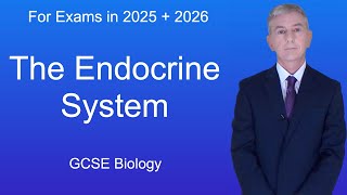 GCSE Biology Revision quotThe Endocrine Systemquot [upl. by Aohk]