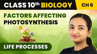 Class 10 Biology Chapter 6  Factors Affecting Photosynthesis  Life Processes [upl. by Cassella]