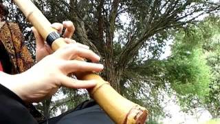 Shakuhachi Yuu Adaptor  short improv [upl. by Rolf]