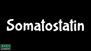 Somatostatin  Pancreatic Hormones [upl. by Ylloj]