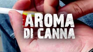 aRoma di canna  La droga proibita è libera nella Capitale [upl. by Anne-Marie]