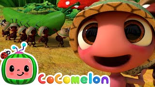 The Ants Go Marching  CoComelon  Sing Along  Nursery Rhymes and Songs for Kids [upl. by Kendrah895]