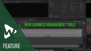 Loudness Management  New Features in WaveLab 12 [upl. by Bolten]