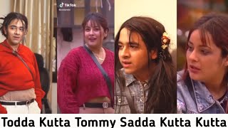 Ronit Ashra shehnaz gill sadda kutta tommy yashraj mukhate new song  shehnaazgill yashrajmukhate [upl. by Quintus]