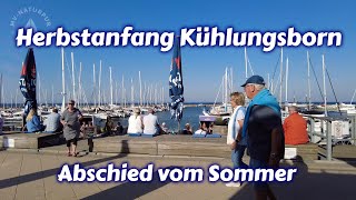 Herbstanfang Kühlungsborn  Abschied vom Sommer [upl. by Ehman411]