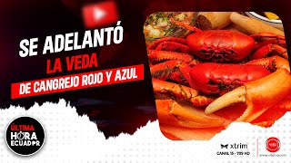 10 días se adelantó la veda del cangrejo rojo y azul en Ecuador [upl. by Irish]