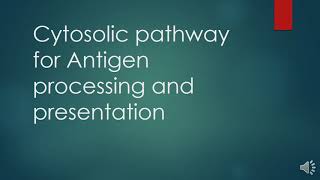 Immunology MHC Antigen Processing and Presentation [upl. by Auqinehs]