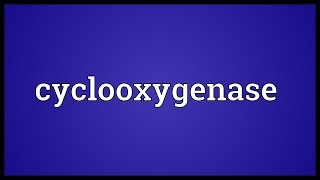 Cyclooxygenase Meaning [upl. by Serg971]