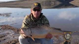 Fishing Records Fall in Wyoming [upl. by Berg]