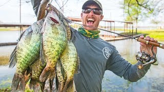 BIG CRAPPIE SPAWNING in Shallow Brush CATCH amp COOK [upl. by Odnam]