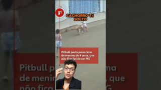 NEM SEMPRE ABANAR O RABO É ALGO BOM adestrador pets caes cachorro cachorros caoadestramento [upl. by Galatia455]