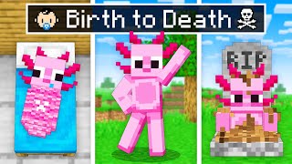 BIRTH To DEATH Of AXY In Minecraft [upl. by Naugal535]