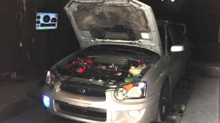 Subaru WRX aka quotLa Rameraquot puts 321whp stock internals VF48 [upl. by Eras]