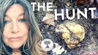 A Day in the Life of a White Truffle Hunter [upl. by Gwennie646]