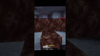 Minecraft ☠️🗿 shorts minecraft viral shortsviral trending youtubeshorts ytshort [upl. by Sihtnyc]