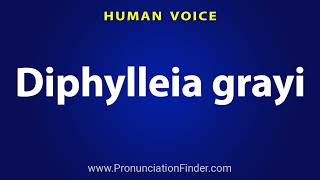 How To Pronounce Diphylleia grayi [upl. by Ahsikrats9]